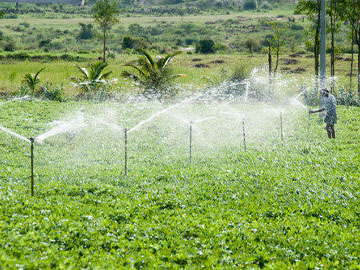 Agriculture